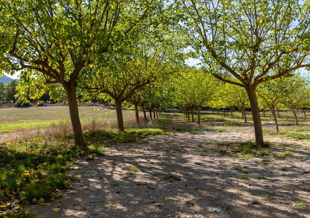 Masia Aubareda San Martín de Tous 外观 照片