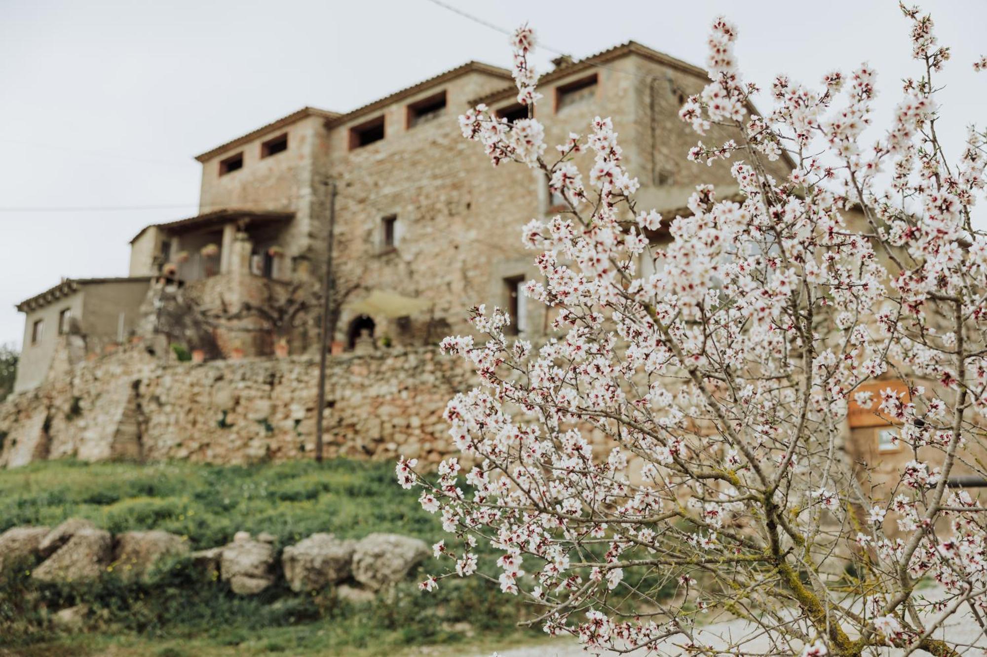 Masia Aubareda San Martín de Tous 外观 照片